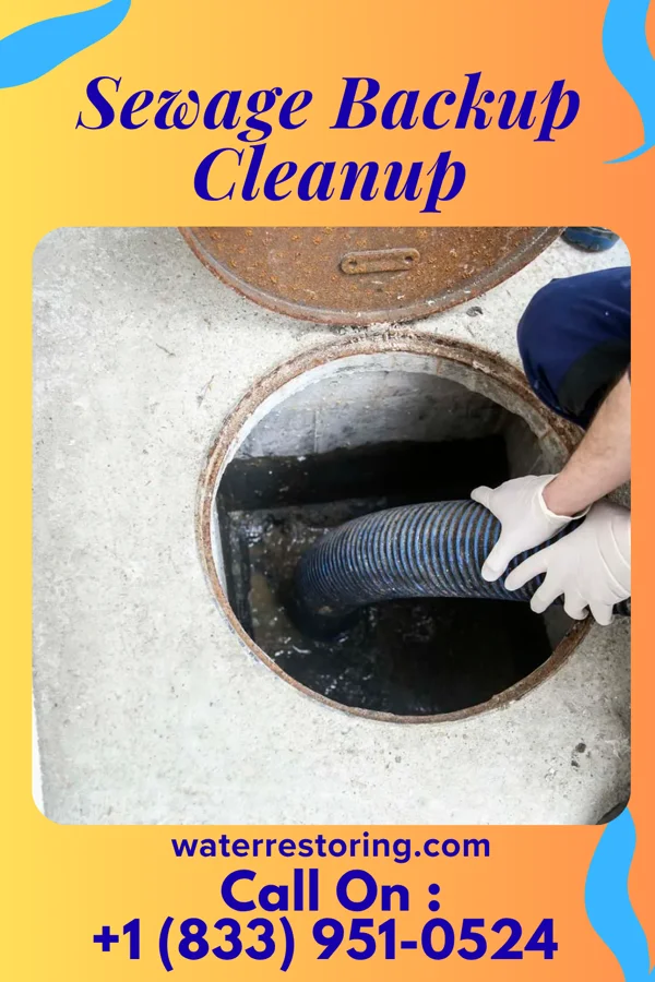 Sewage Backup Cleanup in Tryon, OK